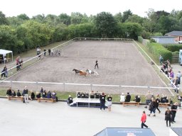 IMG_1159_web